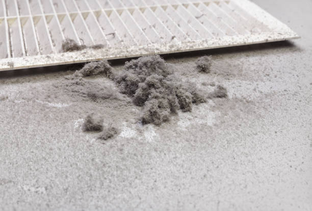 Best Affordable HVAC Duct Cleaning  in La Cresta, CA